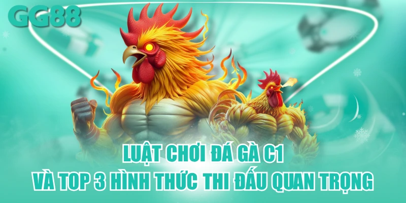 đá gà c1